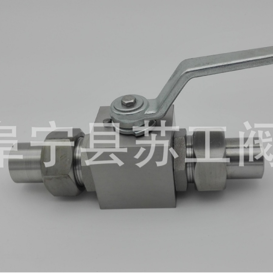 YJZQ-J25N G1" HD-4 高温高压截止阀 GZF-1 高温针形阀 SS-M3-100