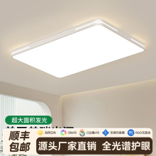 led长方形吸顶灯客厅灯现代简约大厅线条卧室灯大气中山灯具批发