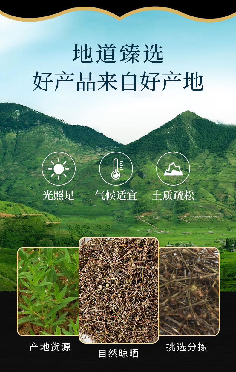Bai Hua She She Cao (Hedyotis diffusa) — Dried Food Herb, Powder Option Available overview
