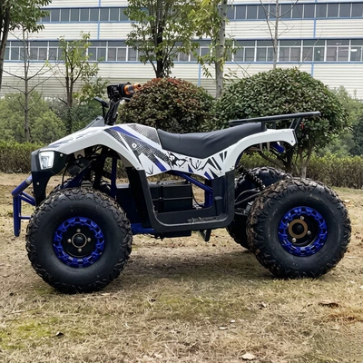 Elektrikli motosikletlər Atv Atv All-Terrain Off-Road