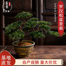 ��Ʒ�_�h���辰ӭ���������ļ������m���҃���͏dͥԺ�Gֲ����