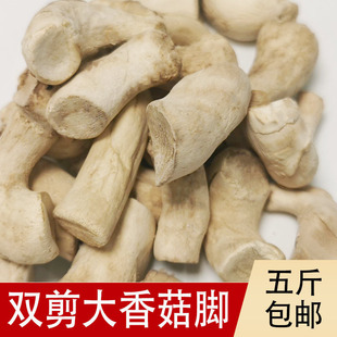 �����̖��������p���㹽�_������^�����ȸ�؛500g�a�ذl؛���