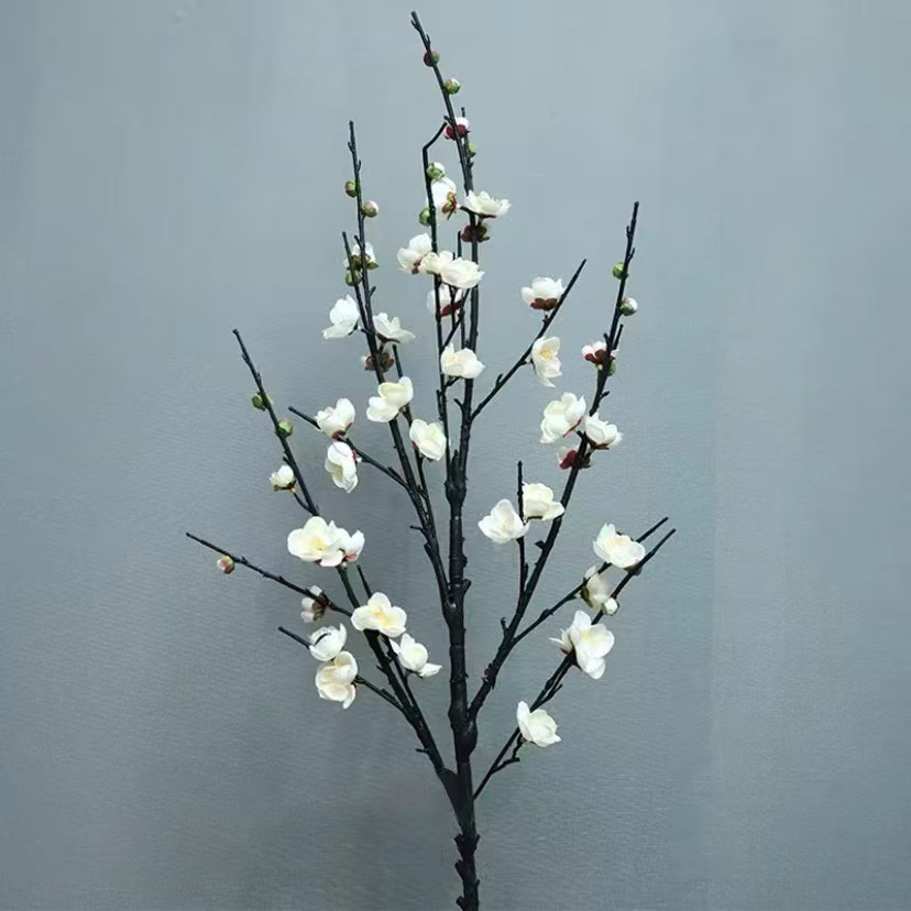 큰 여섯 갈래 매화 흰색