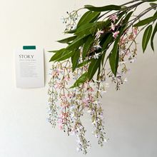 �L֦���z���� ���滨��Y�Ҿ�ܛ�b���������쾰��ˇ�廨���[��