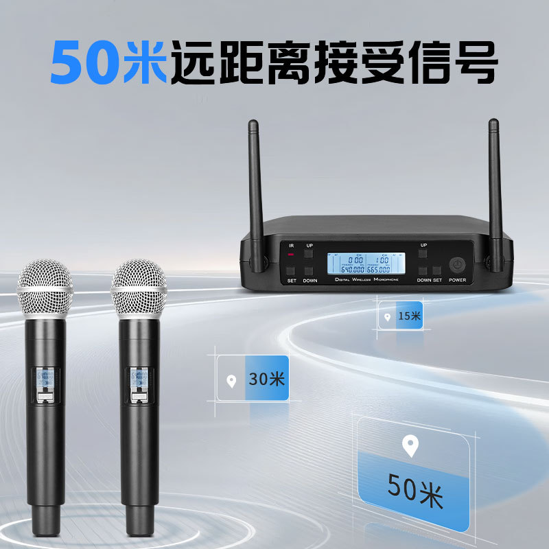 Wireless Microphone One-To-Two Anti-Howling Ktv Home Performance Computer Portable Karaoke Dynamic Microphone Karaoke