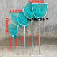 Fp򳭾WĳWWֹWAFzWBֳ~؝OW