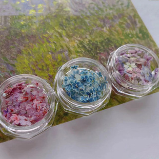 �¿�W�t�ɻ������Ʒ �黨����DIY������ ��ʶ�ɫ�����b����l