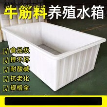 大号加厚牛筋塑料水箱长方形储水桶水产养殖方桶养鱼卖鱼牛筋浅盆