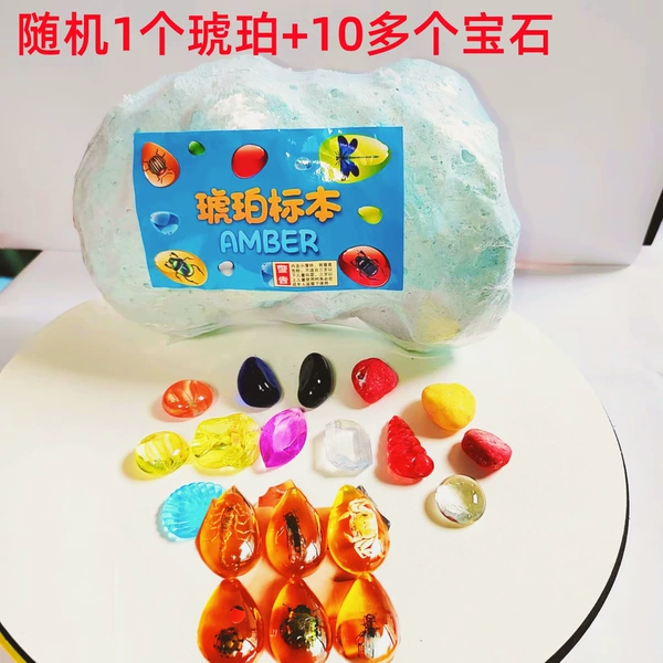On -site Chihiro Amber insect