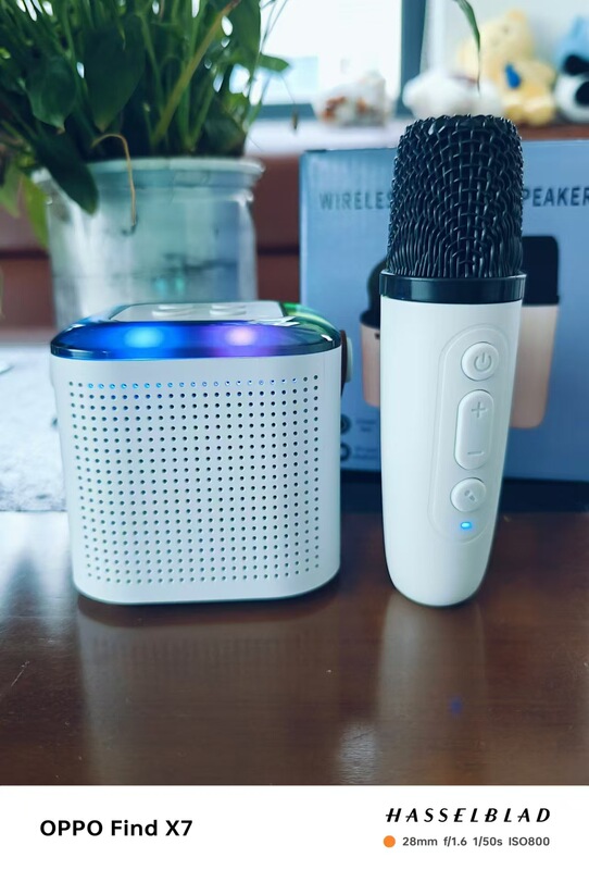 Y1ブルートゥースオーディオk歌一体屋外ホームパーティーセット無線マイクマイクミニbluetoothスピーカー|undefined