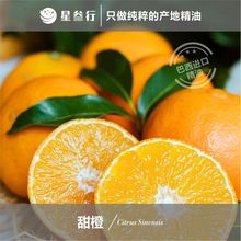 ��Ⱦ��� �����a�ظ��پ��͔U����޹�{��ֲ�ﾫ��ԭ�Ϲ���