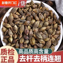 �B�N�B�N��o����B�����N���N�S�N500�˰��]�ɴ����؛��؛