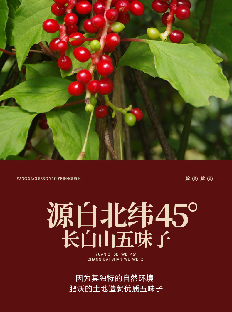 Dried Schisandra Berry Wu Wei Zi 100g Bottle Northeast China Herbal Tea Ingredient key features