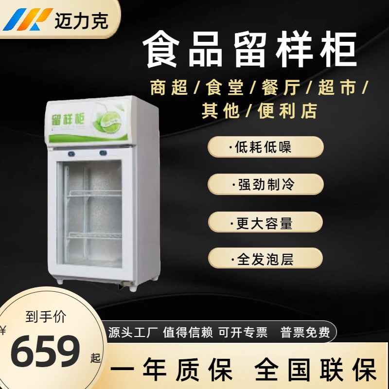 留样柜 幼儿园食品留样柜厨房小型保鲜柜蔬菜饮料冷藏展示柜