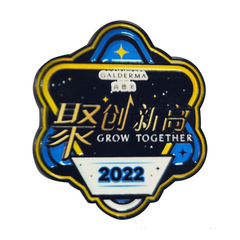 金属バッジカスタムペイント模造エナメルクラフト会社記念日イベントカスタム学校バッジホリデーメモリアルバッジギフト