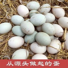 生蛋新鲜鸭蛋正宗绿壳孕妇农家散养批发价青皮生态麻鸭整箱现发1