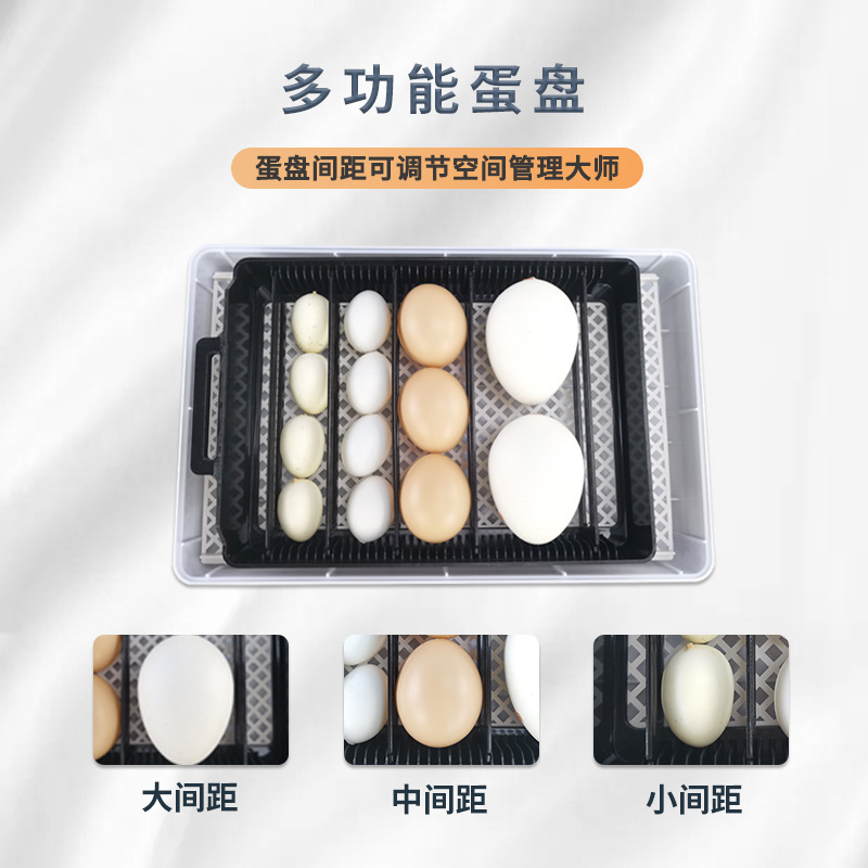 15 automático pequeño hogar incubadora pollo pato codorniz paloma incubadora mini alimentador de agua hervidor