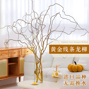 �S�������r֦ˮ��ֲ��͏d�Gֲˮ�B��֦��ʽ���L���l�ļ����B�׻�