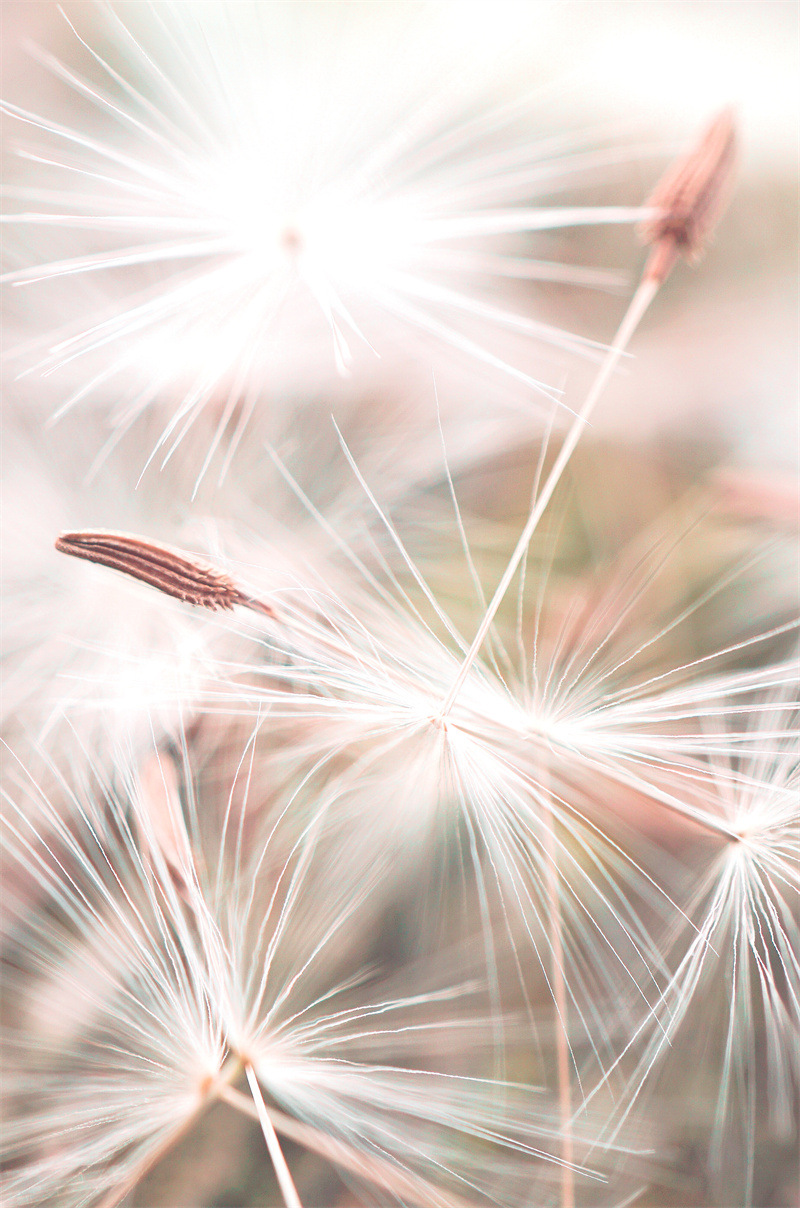 E 페인팅 코어 (프레임 없음)