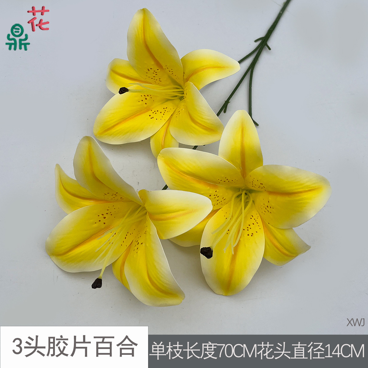 Phim 3 đầu Lily XWJ màu vàng