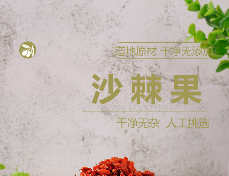 Sea Buckthorn Berries (Hippophae rhamnoides) — Dried Fruit Tea, 110g Jar key features