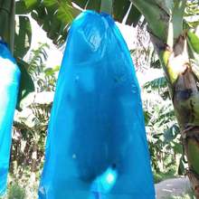 薄膜袋棉套香蕉袋保溫防寒連體珍珠棉香蕉袋套袋農用一體防蟲膠袋