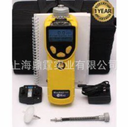 RAE PGM-7320 VOC ���� ��������