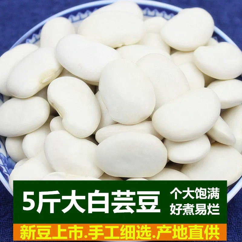 大白芸豆云南今年新鲜芸豆白大白云豆白豆干货农家炖汤炖排骨
