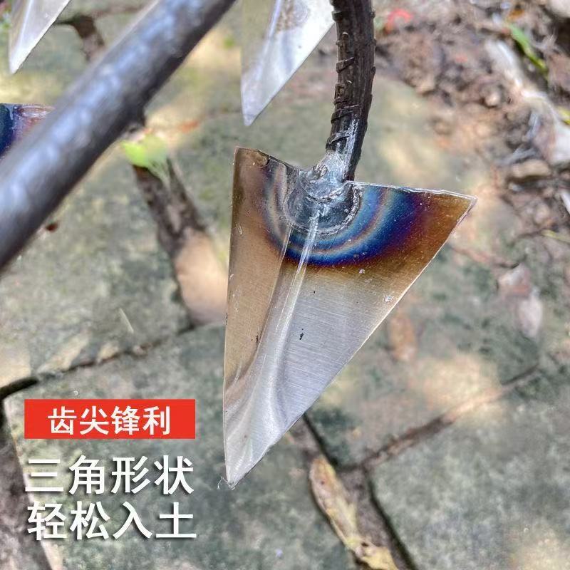 微信图片_202504231419452.jpg