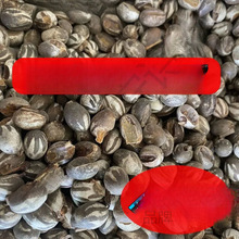 ��һ���ѡ������̹�˳��ɲ��������۴�������������������