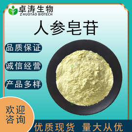 人参皂苷98%-50% Rb1 Rg1 Re人参提取人参皂甙 原料 量大优惠