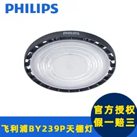 BY239PG3 Philips Водонепроницаемый пылезащитный промышленно-шахтерский фонарь 200W Дневной свет Philips перо поле для баскетбольной площадки