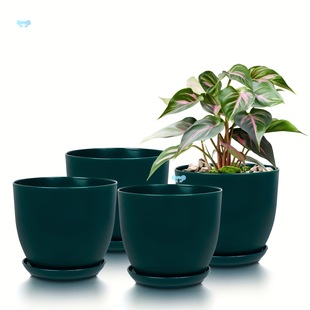 Pack of 4 Identical Sizes Stylish Matte Egg Design Plastic