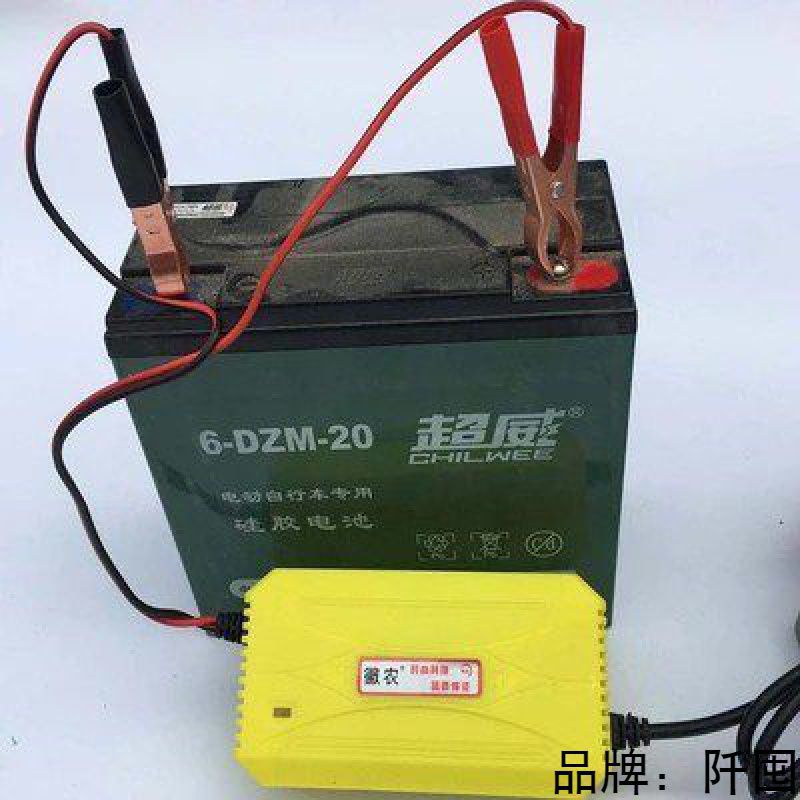 邮12v3a电瓶电动车摩托车充电器单个12v20ah12v32a电池干水通包