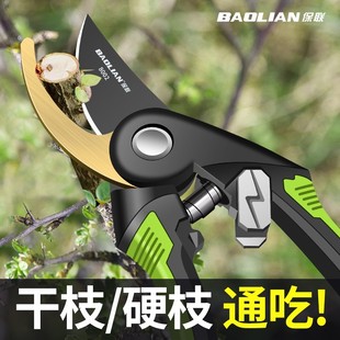 Baolian pruning shears gardening scissors knife scissors branch special scissors garden pruning fruit tree pruning floral pruning scissors