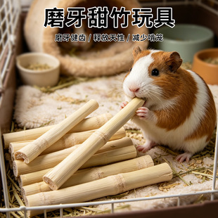 ����ĥ��������ĥ��������ӂ}����؈ĥ����ҧ������b�羳���l