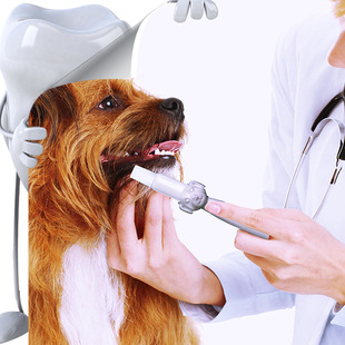 ��������� �¿����ˢ  �坍�ڳ���ǻ�坍 ˼��؈����ˢ��ˢ