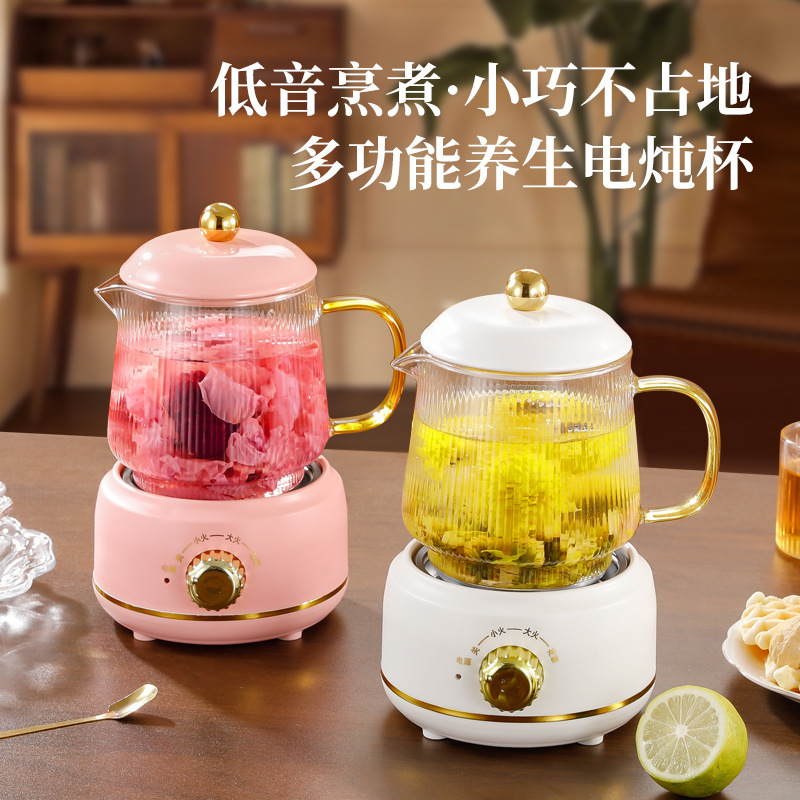 多功能加热小型花茶养生壶电热杯玻璃办公室煮茶伴手礼礼物礼盒|undefined