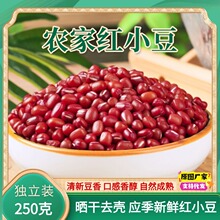 东北2025年新红小豆农家自产散装新货小红豆非赤小豆250g红豆杂粮