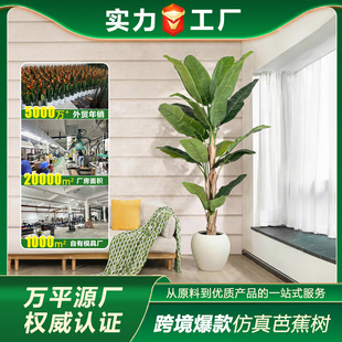 �羳����Ž��䱱�W����Gֲ���Է����㽶���҃��b[�����ͼ٘�