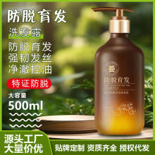 植物防脱洗发水滋养固发蓬松老生姜王洗发水改善脱发洗发露乳批发