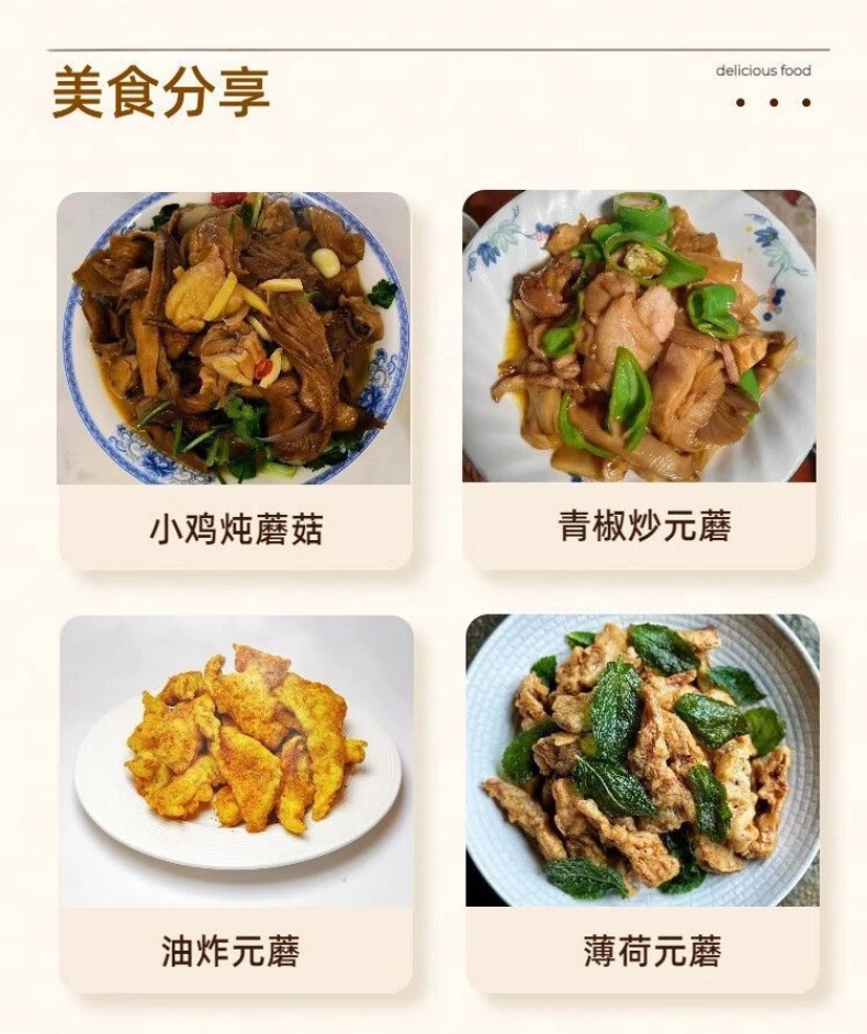 Dried Yuanmo Mushroom Whole Wild Forest Mushroom for Soup and Stew 500g preparation