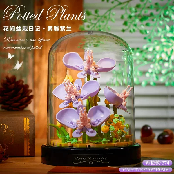16345 orchids 【with transparent cover+base】