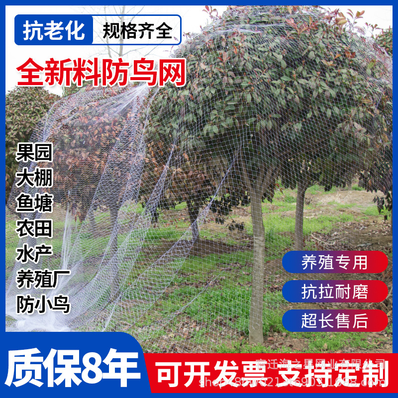 果树防鸟用网天网尼龙网大棚防鸟网果园鱼塘养殖防鸟网拦鸟丝网片