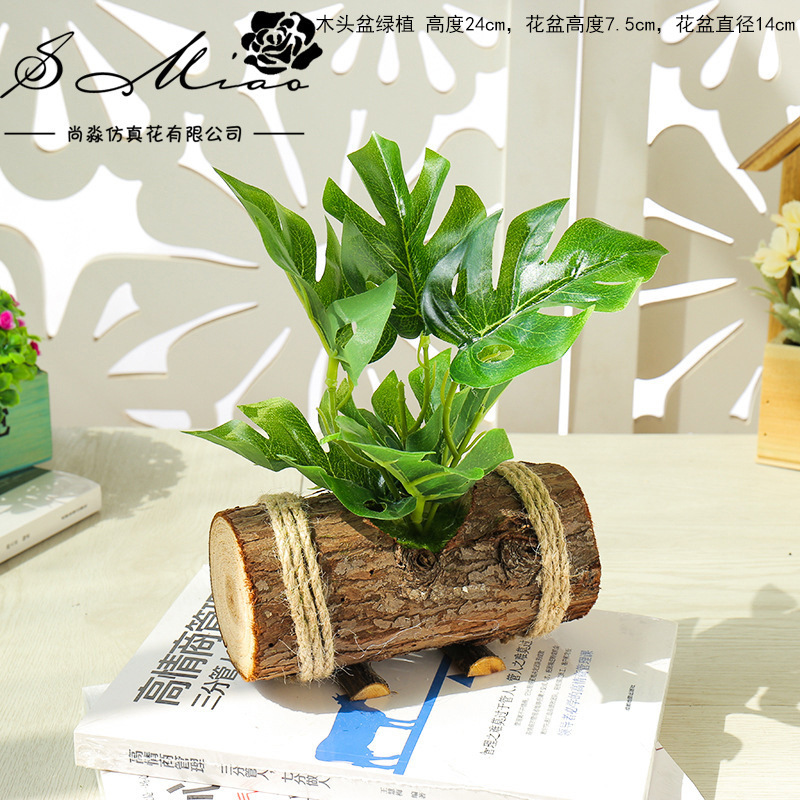 JJH1658 ☆ JJH1658 ☆