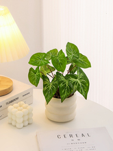 ���Wֲ�������辰�Gֲ�����҃��k���ҹ�λ�b��ٻ��[��