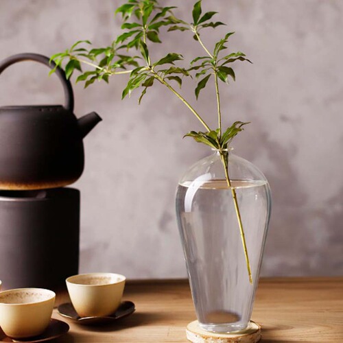 Transparent glass vase flower arrangement water cultivation plum vase Zen tea ceremony ornaments home living room decoration Japanese-style hydroponic flower device