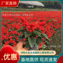 һ���t�������l �Ԯa���N  Ʒ�N�Rȫ���^�쾰���̾G����