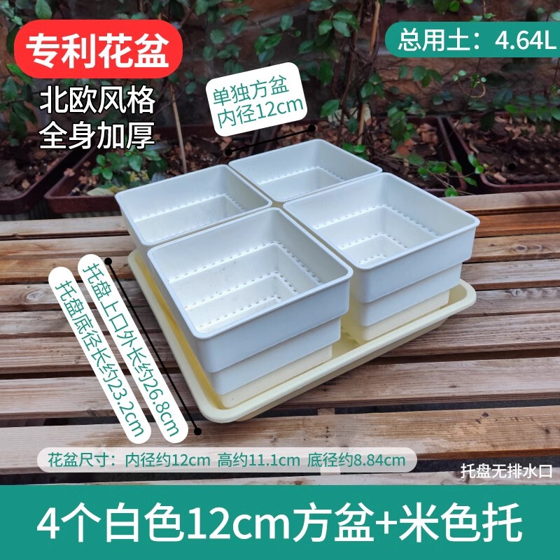 樹脂多肉植木鉢大口径小白角コンビネーション台座付きトレープラスチック通気植物専用根付き鉢|undefined