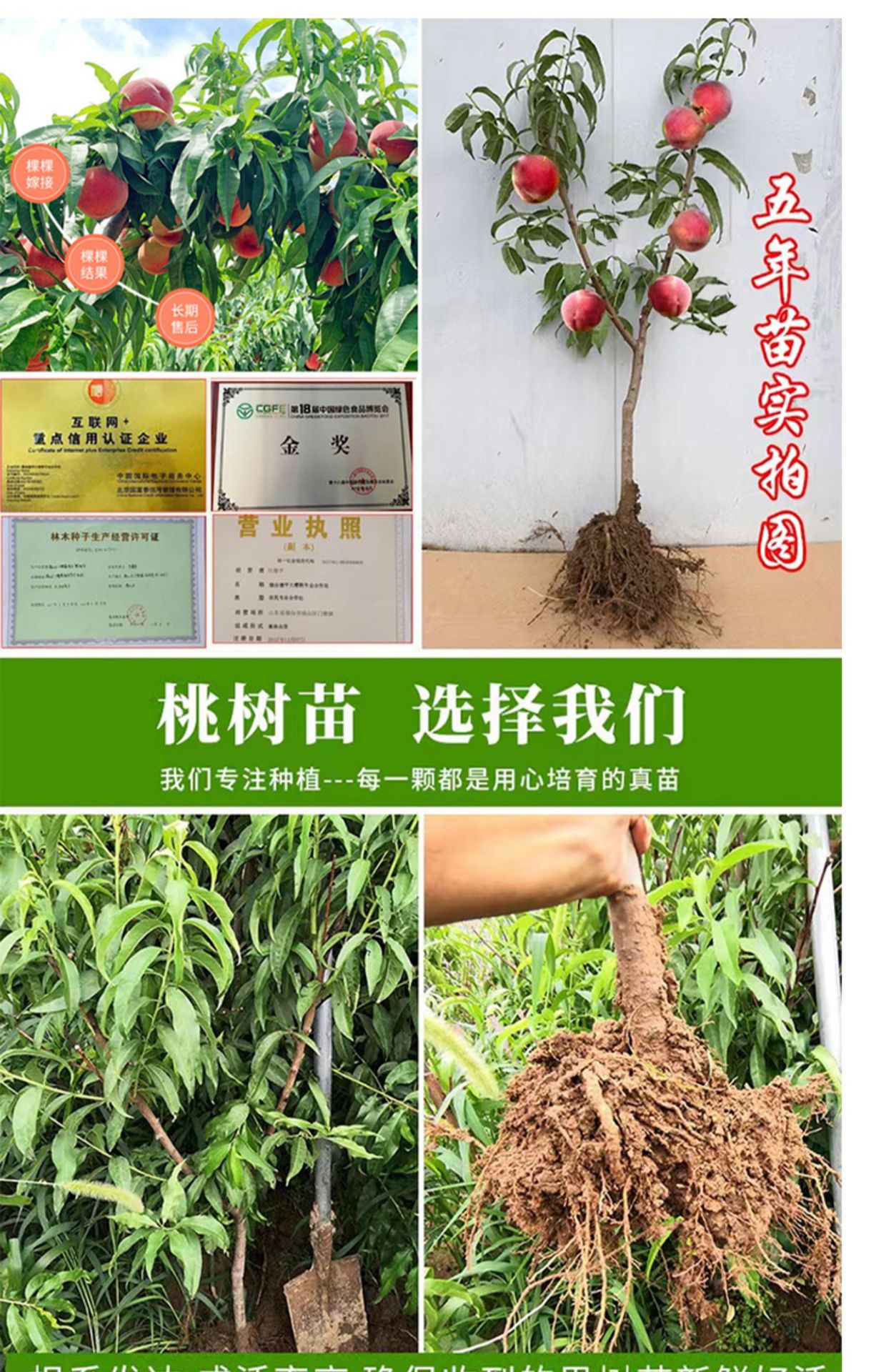 gm6WifKnzdTvlDvRUnfRc32Zw9QoN8As86FR